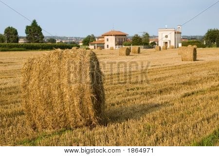 Rouleaux de foin