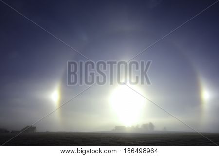 Parhelion is atmospheric phenomenon, sundog is member of halos family.