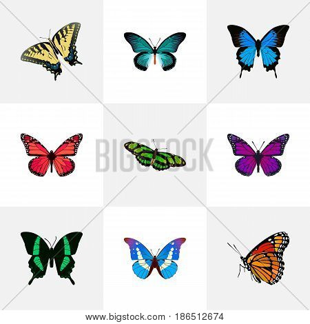 Realistic Purple Monarch, Checkerspot, Green Peacock And Other Vector Elements. Set Of Beautiful Realistic Symbols Also Includes Blue, Pink, Purple Objects.