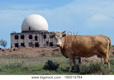 Area 35.(Ploshadka 35 ru.)Sary Shagan.Former Soviet  anti-ballistic missile testing range.Kazakhstan.May 6, 2017.Sary Shagan.Kazakhstan