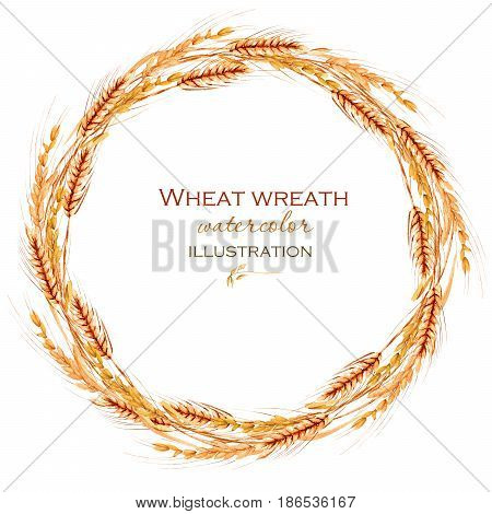 Wreath, circle frame border with wheat spikelets hand drawn in watercolor on a white background