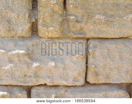 Tuff texture in the garden during the day
