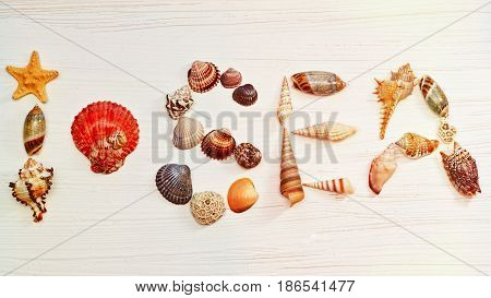 Horizontal top view I love sea tagline made of shells with conch instead the heart sign