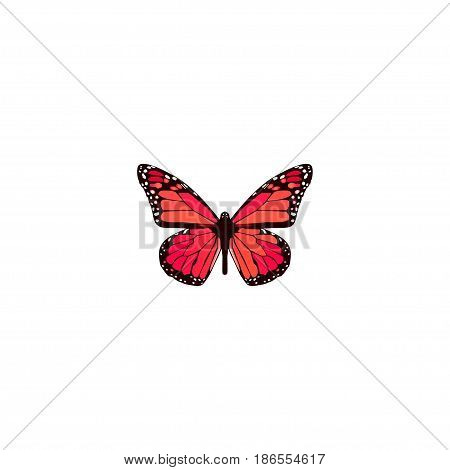 Realistic Pink-Wing Element. Vector Illustration Of Realistic Azure Peacock Isolated On Clean Background. Can Be Used As Pink, Peacock And Butterfly Symbols.