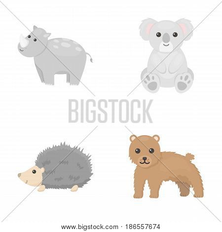 Rhino, koala, panther, hedgehog.Animal set collection icons in cartoon style vector symbol stock illustration .