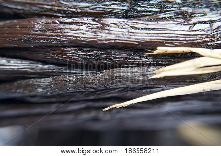Close up macro image of bunches of vanilla pods. The small individual seeds can be seen in this aromatic super flavour plant.