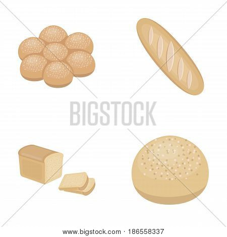 Cut loaf, bread roll with powder, half of bread, baking.Bread set collection icons in cartoon style vector symbol stock illustration .