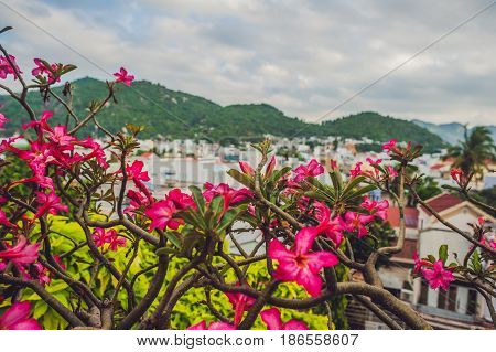 Beautiful View On Nha Trang In Khanh Hoa Province At Afternoon In Vietnam. Is A Popular Tourist Dest