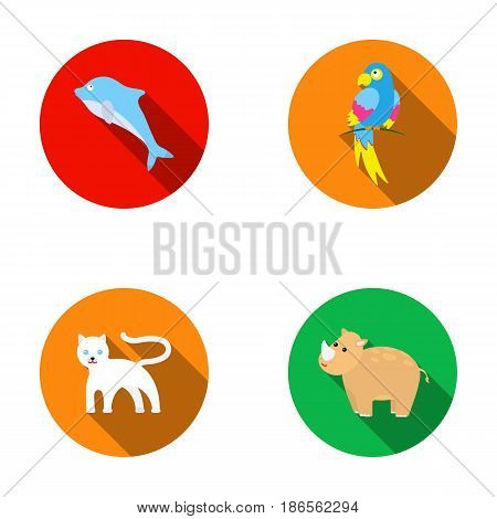 Rhinocero, popugay, panther, dolphin.Animal set collection icons in flat style vector symbol stock illustration .