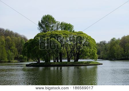 A green island - near the entrance - Tsaritsyno park - Moscow, Russia