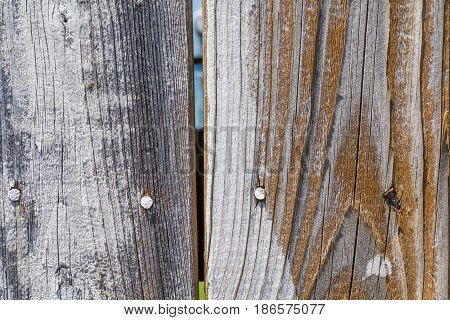 Close up of weathered brown and grey fence boards background with nails in them