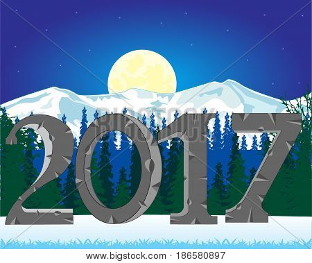 Night in wood and approaching new year