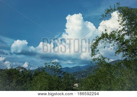 Landscape With Mountains Covered With Forest And Clody Sky