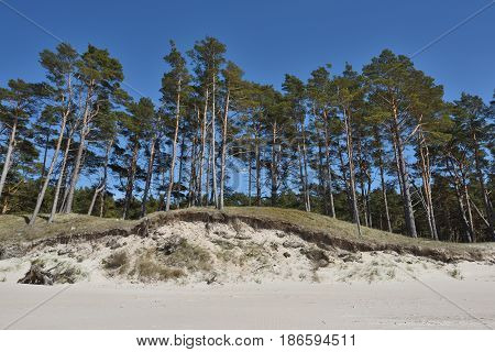Natural erosion shore of Baltic sea coast