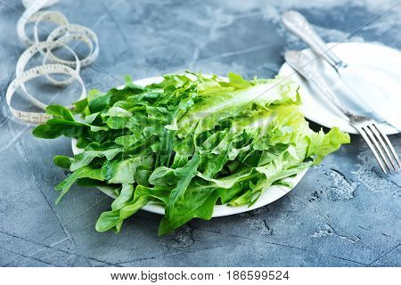 Rucola