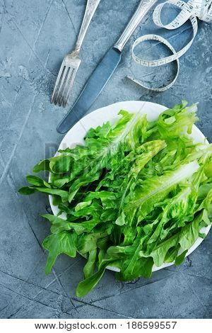 Rucola