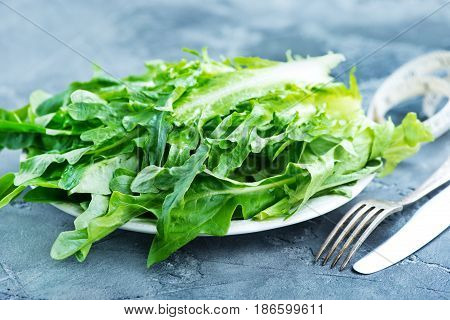 Rucola