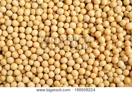 Soia beans for background and texture too