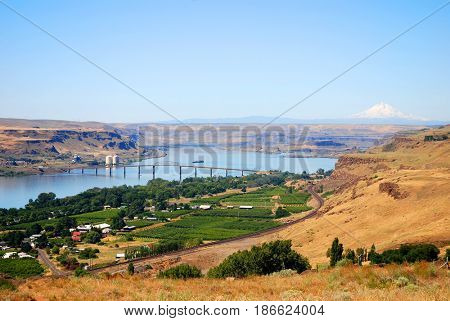 The Dalles Bridge crossing the Columbia River between The Dalles, Oregon, and Maryhill, Washington, with vineyards in the foreground and Mt. Hood in the background