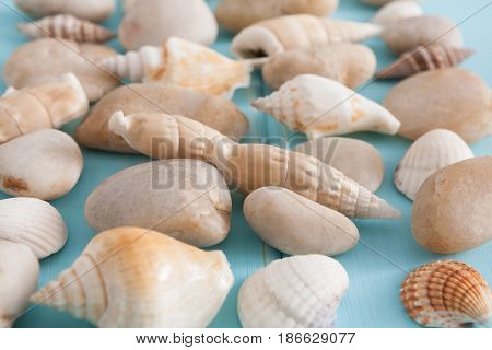 Seashells and pebbles pattern on blue wood, sea vacation collection background on wooden planks, selective focus