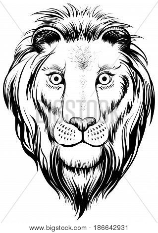 Isolated lions head vector black and white illustration. Linear art.