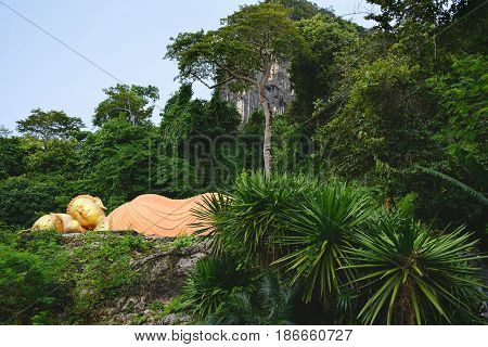 Hidden Buddha statue in tropical jungle. Krabi province Thailand.