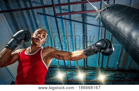 Afro american male boxer. Young man boxing workout in a fitness club. Muscular strong man on background black studio