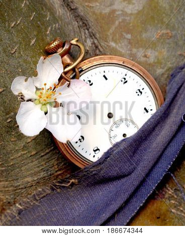 vintage clock and apple flowerimage of a