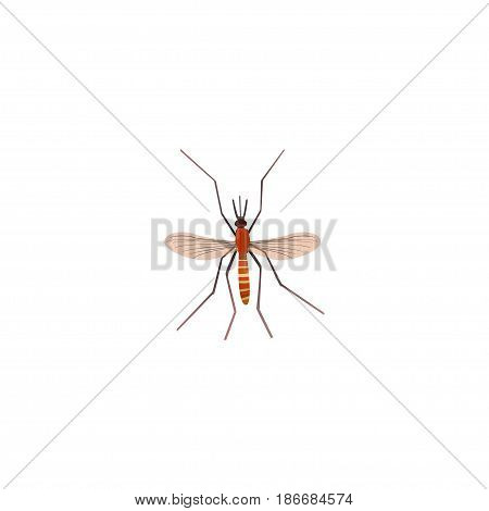 Realistic Mosquito Element. Vector Illustration Of Realistic Gnat Isolated On Clean Background. Can Be Used As Gnat, Mosquito And Alive Symbols.