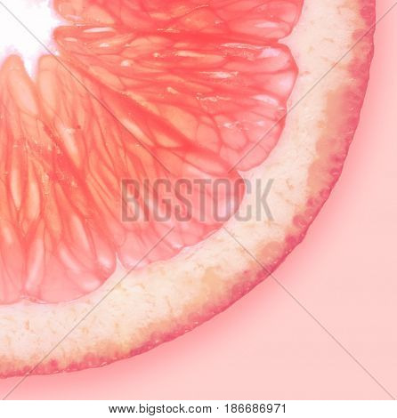 Single slice of Grapefruit on a Pink Background