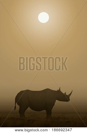 3d illustration of a African Rhino standing in the Savanna under the sun.