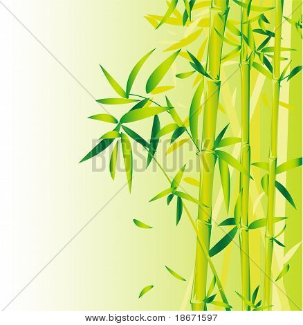 竹