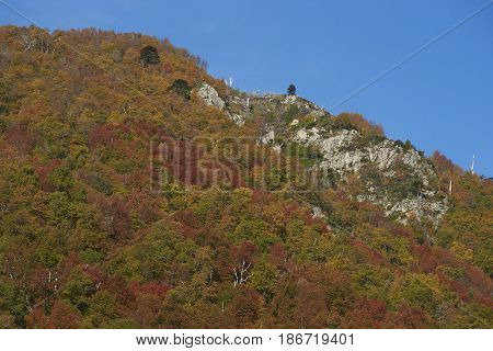Autumn in Conguillio National Park in southern Chile. Trees in autumn foliage in the foreground; evergreen Araucania Trees (Araucaria araucana) beyond on the higher rocky mountain tops.