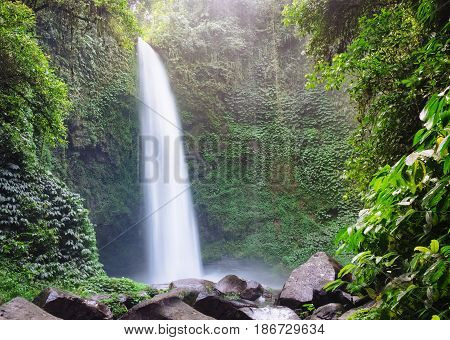 Huge fast waterfall hidden in mountain forest under great sky in deep jungle forest with bright green foliage, outdoor nature landscape, Bali island, Indonesia