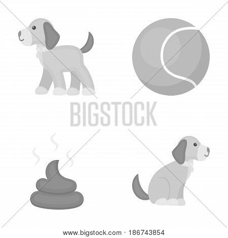 Dog sitting, dog standing, tennis ball, feces. Dog set collection icons in monochrome style vector symbol stock illustration .