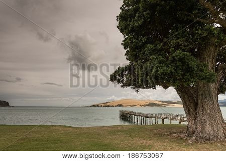 Bay of Islands New Zealand - March 7 2017: Exit to Tasman Sea from Hokianga Harbour shows large dune pier large tree all under heavy cloudscape because of approaching cyclone.