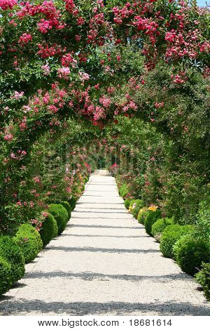 Rose Arch i trädgården