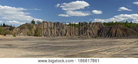 Spring Forest in a Sunny Day on Dunes of Sand and Clay in an Abandoned Quarry