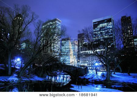 Central Park and manhattan skyline at night, New York City