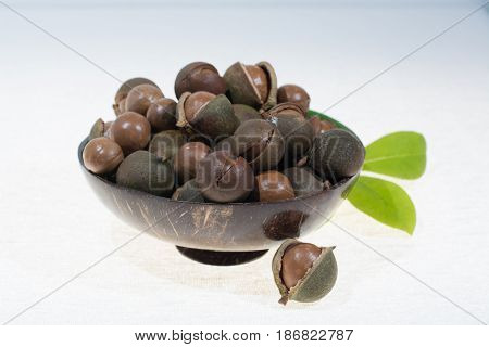 Macadamia nuts in shell new harvest close up on white background