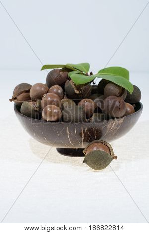 Macadamia nuts in shell new harvest close up on white background