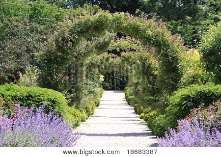 Rose Arch i trädgården