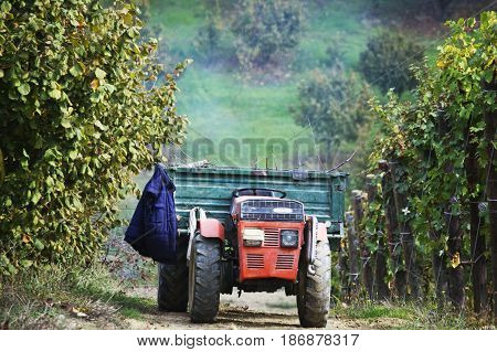 Tuscan fields, tractor, blue coat, vineyards, headlight, fields