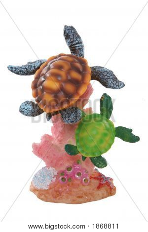 Bunte Schildkröten