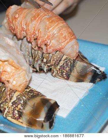 Cutting the lobster tail - close up