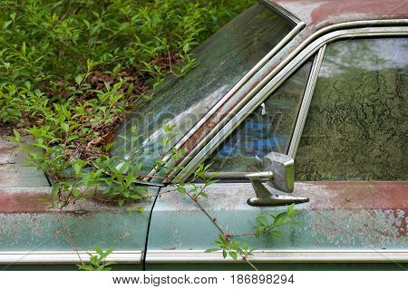 Detail of a rusty green car abandoned by the side of the road
