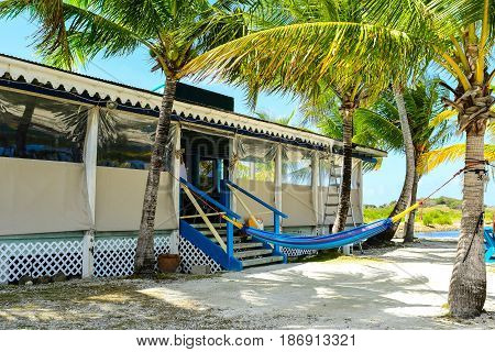 Caribbean beach bar and palms on Tortola, BVI