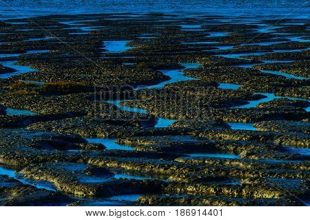 Patterns in bottom of tide flat at low tied - Anacortes WA