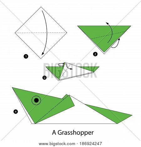 step by step instructions how to make origami a Grasshopper.