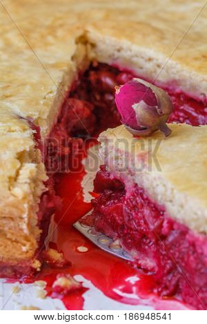 Fresh Home-made Cherry Pie. A Juicy Piece Of Cherry Pie Decorated With A Small Rose. Slice Of Pie Wi